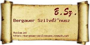 Bergauer Szilvánusz névjegykártya